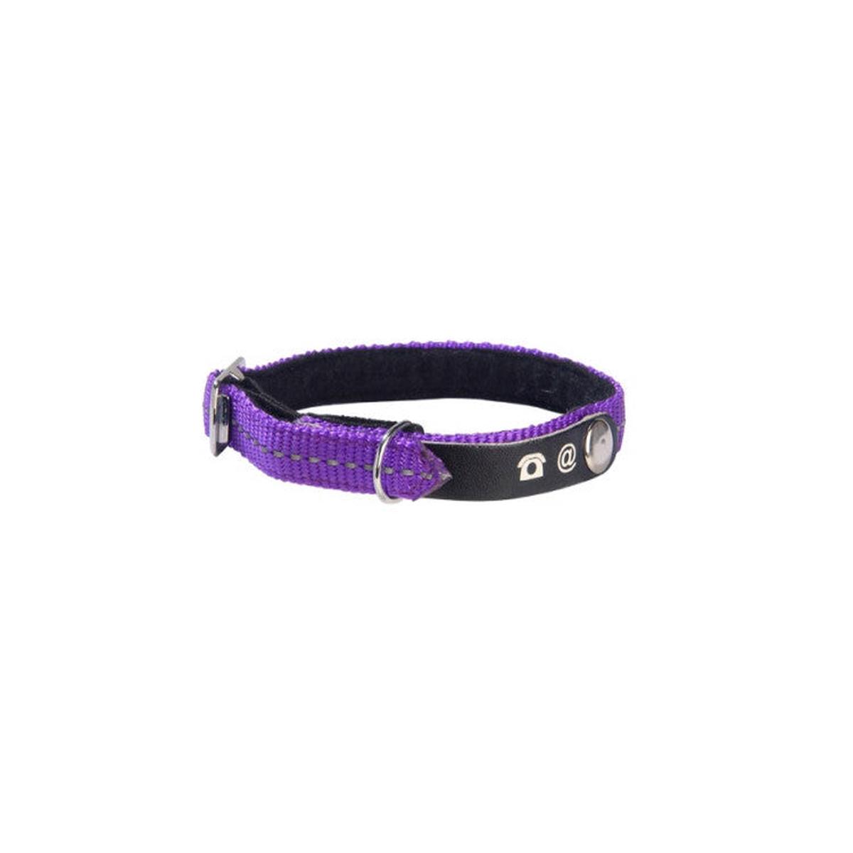 Bobby Lost Cat Collar Violet