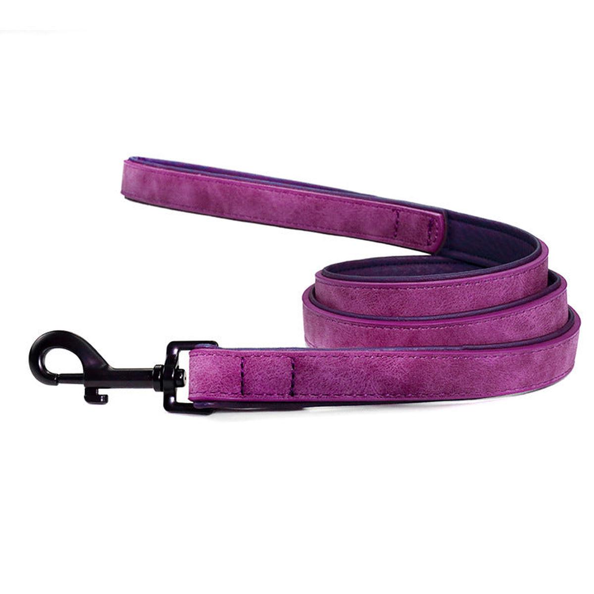 Pet Dog Leash Pull-resistant Leather Products - Purple | M 1.5x120